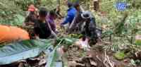 Noticia: VIDEO: Rescata a un adulto mayor desaparecido en una montaña en Manabí VIDEO: Rescata a un adulto mayor desaparecido en una montaña en Manabí