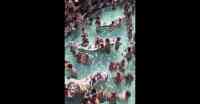 Noticia: El vídeo de una fiesta en una piscina en plena pandemia en EE.UU. se viraliza El vídeo de una fiesta en una piscina en plena pandemia en EE.UU. se viraliza