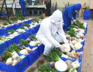 Noticia: Más de 100.000 familias vendieron directamente sus canastas agrícolas mediante el programa Agro Tienda Ecuador Más de 100.000 familias vendieron directamente sus canastas agrícolas mediante el programa Agro Tienda Ecuador
