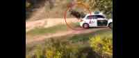 Noticia: Un toro embiste autos de la Guardia Civil en España Un toro embiste autos de la Guardia Civil en España