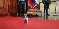 Noticia: VIDEO | 'Pachita', la nueva mascota de la Asamblea Nacional VIDEO | 'Pachita', la nueva mascota de la Asamblea Nacional
