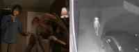 Noticia: Video captó a extraña y escalofriante criatura igual a Dobby, el elfo de Harry Potter Video captó a extraña y escalofriante criatura igual a Dobby, el elfo de Harry Potter
