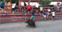 Noticia: VIDEO IMPACTANTE | Hombre queda inconsciente tras ser cogido brutalmente por un toro en el vientre VIDEO IMPACTANTE | Hombre queda inconsciente tras ser cogido brutalmente por un toro en el vientre