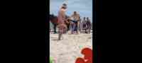 Noticia: VIDEO: Turista aprende de una dolorosísima manera por qué no hay que tocar a los caballos salvajes VIDEO: Turista aprende de una dolorosísima manera por qué no hay que tocar a los caballos salvajes
