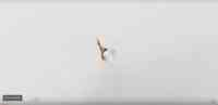 Noticia: CIENCIA: ¿cómo funciona la picada de una hormiga?, video lo muestra CIENCIA: ¿cómo funciona la picada de una hormiga?, video lo muestra