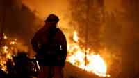 Noticia: California ha gastado más de 500 millones de dólares por los incendios forestales California ha gastado más de 500 millones de dólares por los incendios forestales