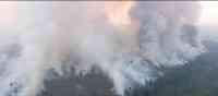 Noticia: VIDEO | Avanza el gigantesco incendio que devora la selva amazónica en Brasil VIDEO | Avanza el gigantesco incendio que devora la selva amazónica en Brasil