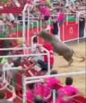 Noticia: Toro salta a las gradas y embiste a 19 asistentes Toro salta a las gradas y embiste a 19 asistentes