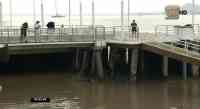 Noticia: VIDEO | Trotaban en el malecón de Guayaquil cuando encontraron flotando un cadáver VIDEO | Trotaban en el malecón de Guayaquil cuando encontraron flotando un cadáver