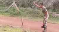 Noticia: VIDEO: Un soldado se topa con la serpiente venenosa más grande del mundo y su forma de dominarla quita el aliento VIDEO: Un soldado se topa con la serpiente venenosa más grande del mundo y su forma de dominarla quita el aliento