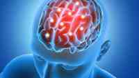Noticia: Descubren que la manera en que nuestro cerebro memoriza la información depende de cómo la aprendemos Descubren que la manera en que nuestro cerebro memoriza la información depende de cómo la aprendemos