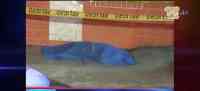 Noticia: Ciudadano colombiano asesinado de tres disparos en el centro de Guayaquil Ciudadano colombiano asesinado de tres disparos en el centro de Guayaquil