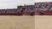 Noticia: VIDEO SENSIBLE | Voluntario MUERE por brutal embestida de toro en plaza taurina VIDEO SENSIBLE | Voluntario MUERE por brutal embestida de toro en plaza taurina