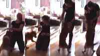 Noticia: VIDEO EMOTIVO: Perro se vuelve 'loco' de la emoción al ver a su dueña después tres años VIDEO EMOTIVO: Perro se vuelve 'loco' de la emoción al ver a su dueña después tres años