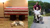 Noticia: La foto del perro del expresidente George H. W. Bush resguardando su ataúd que recorre el mundo La foto del perro del expresidente George H. W. Bush resguardando su ataúd que recorre el mundo