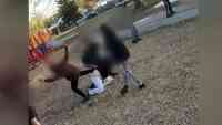 Noticia: VIDEO | Niños propinan brutal paliza a una madre en un parque de Canadá VIDEO | Niños propinan brutal paliza a una madre en un parque de Canadá
