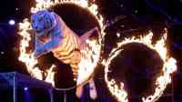Noticia: Portugal prohíbe los animales salvajes en los circos Portugal prohíbe los animales salvajes en los circos