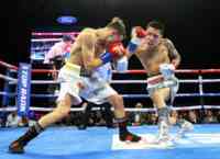 Noticia: VIDEO: boxeador le propone matrimonio a su pareja tras perder por nocaut VIDEO: boxeador le propone matrimonio a su pareja tras perder por nocaut