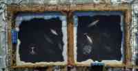 Noticia: Rusia decide liberar a las ballenas cautivas ante indignación internacional Rusia decide liberar a las ballenas cautivas ante indignación internacional