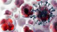 Noticia: ¿Será la cura? Crean poderoso láser que puede destruir células cancerígenas en la sangre ¿Será la cura? Crean poderoso láser que puede destruir células cancerígenas en la sangre