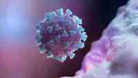 Noticia: Autopsia de paciente con coronavirus revela los daños que produce la enfermedad Autopsia de paciente con coronavirus revela los daños que produce la enfermedad