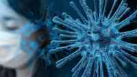 Noticia: Los cuatros tipos de pacientes con coronavirus y qué le pasa a los pulmones de acuerdo a la gravedad del cuadro Los cuatros tipos de pacientes con coronavirus y qué le pasa a los pulmones de acuerdo a la gravedad del cuadro