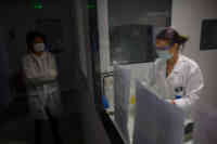 Noticia: Científicos franceses pudieron matar el coronavirus a una temperatura mucho mayor de la que se creía Científicos franceses pudieron matar el coronavirus a una temperatura mucho mayor de la que se creía