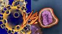 Noticia: Diferencias y Semejanzas: Coronavirus VS Gripe Diferencias y Semejanzas: Coronavirus VS Gripe
