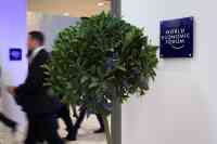 Noticia: En el Foro de Davos, todo el mundo quiere plantar árboles En el Foro de Davos, todo el mundo quiere plantar árboles