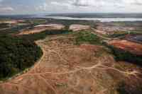 Noticia: Deforestación de la Amazonía brasileña creció 91% de enero a agosto Deforestación de la Amazonía brasileña creció 91% de enero a agosto