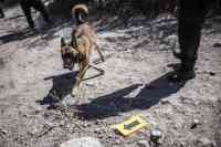 Noticia: VIDEO: desaparecer buscando desaparecidos, doble tragedia mexicana VIDEO: desaparecer buscando desaparecidos, doble tragedia mexicana