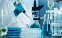 Noticia: Descarta la ciencia que un gen explique la homosexualidad Descarta la ciencia que un gen explique la homosexualidad