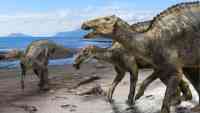 Noticia: FOTOS: Descubren una nueva especie de dinosaurios, la más grande que habitaba las islas de Japón FOTOS: Descubren una nueva especie de dinosaurios, la más grande que habitaba las islas de Japón