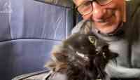 Noticia: VIDEO | El reencuentro de un gato con su dueño tras 5 años y 2.000 kilómetros de recorrido VIDEO | El reencuentro de un gato con su dueño tras 5 años y 2.000 kilómetros de recorrido