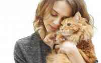 Noticia: La relación entre tu personalidad y la de tu gato es más profunda de lo que crees La relación entre tu personalidad y la de tu gato es más profunda de lo que crees