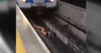 Noticia: VIDEO | Lo que ocurrió luego de que un hombre cayera inconsciente en las vías del metro VIDEO | Lo que ocurrió luego de que un hombre cayera inconsciente en las vías del metro
