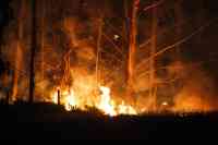 Noticia: Incendio forestal en Chile consume más de 12 mil hectáreas Incendio forestal en Chile consume más de 12 mil hectáreas