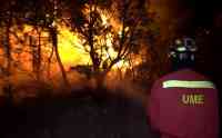 Noticia: Incendio descontrolado en España en plena ola de calor europea Incendio descontrolado en España en plena ola de calor europea