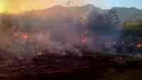 Noticia: Un incendio en Venezuela deja al menos 10 muerto, siete son niños Un incendio en Venezuela deja al menos 10 muerto, siete son niños