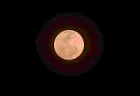 Noticia: Una 'Luna de Fresa' iluminará el cielo esta semana y dará lugar a un eclipse penumbral Una 'Luna de Fresa' iluminará el cielo esta semana y dará lugar a un eclipse penumbral