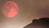 Noticia: La ‘luna rosa’ de abril es la superluna más grande de 2020 La ‘luna rosa’ de abril es la superluna más grande de 2020