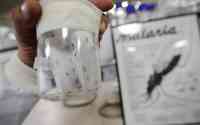 Noticia: Venezuela sufre el mayor aumento de casos de malaria del mundo Venezuela sufre el mayor aumento de casos de malaria del mundo