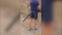 Noticia: VIDEO | Padre alienta a su hijo de 9 años a disparar contra aves protegidas VIDEO | Padre alienta a su hijo de 9 años a disparar contra aves protegidas