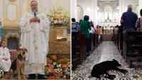 Noticia: FOTOS | Un sacerdote hace misa con perros callejeros para buscarles un hogar FOTOS | Un sacerdote hace misa con perros callejeros para buscarles un hogar