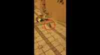 Noticia: VIDEO | De presa a cazador: la valentía de un ratón para enfrentarse a un gato VIDEO | De presa a cazador: la valentía de un ratón para enfrentarse a un gato