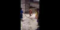 Noticia: VIDEO | Niños 'saltan a la cuerda' con una serpiente muerta VIDEO | Niños 'saltan a la cuerda' con una serpiente muerta