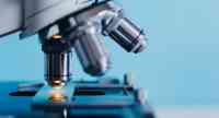 Noticia: Científicos detectan nuevo virus 'misterioso' en Brasil Científicos detectan nuevo virus 'misterioso' en Brasil