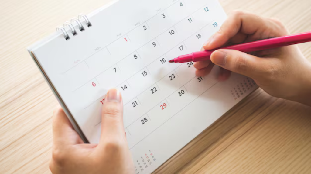 Último feriado del año: aumento de visitantes en destinos nacionales