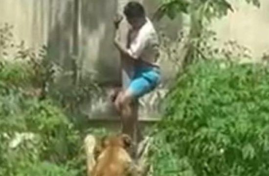 Machado burló las estrictas medidas de seguridad y escaló un muro de más de seis metros.