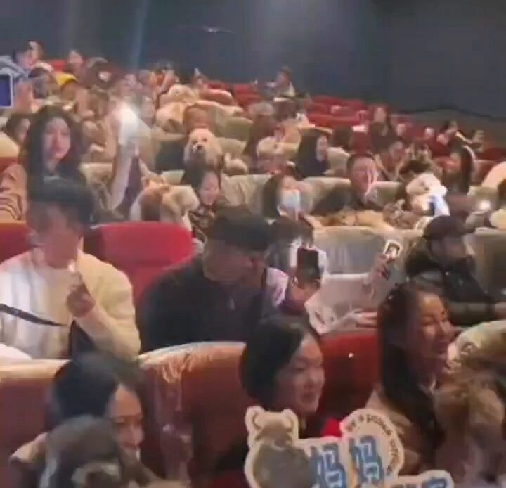 Algunos complejos cinematográficos acondicionaron espacios especiales para que los amantes de los animales pudieran llevar a sus mascotas sin inconvenientes.